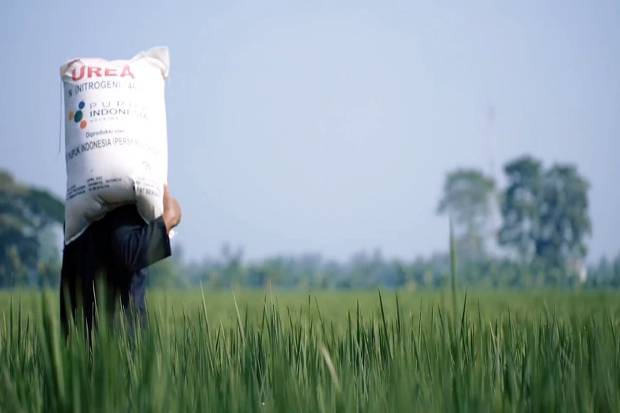 Kementan Dapat Tambahan  Anggaran Pupuk Subsidi di 2024