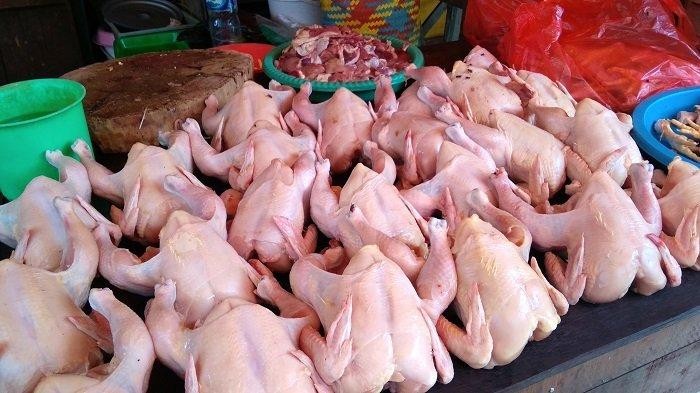 Harga Ayam Potong Terjun Bebas, Ombudsman Sebut Ada Maladministrasi