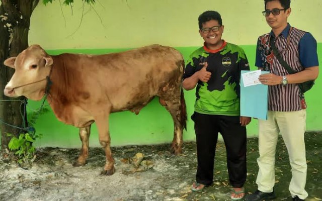 Bank Jatim Sumbang Hewan Kurban Limousin untuk Madrasah Tsanawiyah di Kediri