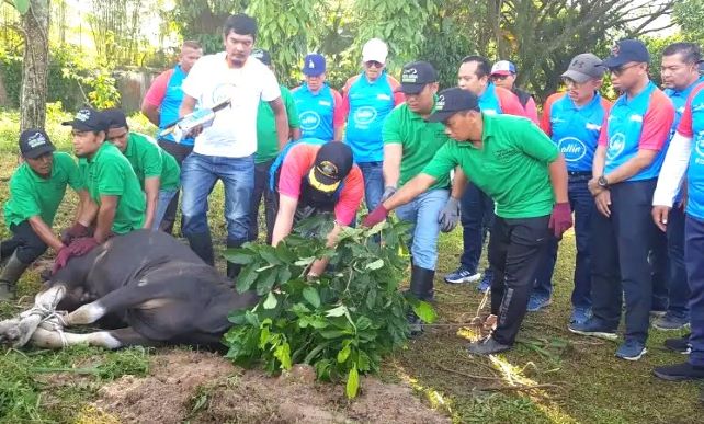 Bank Nagari Salurkan Daging Kurban ke Daerah Kekurangan, Gubernur Sumbar Apresiasi