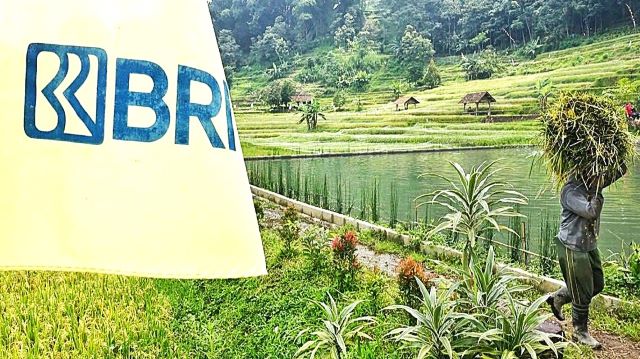 Hari Tani Nasional, BRI Perkuat Dukungan terhadap Petani Lewat Pembiayaan dan Digitalisasi