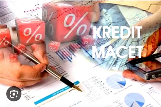 Modal Melimpah Justru Memicu Kredit Macet di Sektor UMKM, Ini Penjelasan Kadin